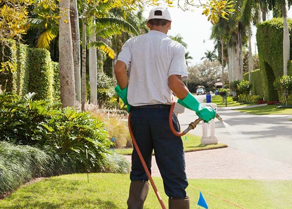 About Diamond MO Pest Control